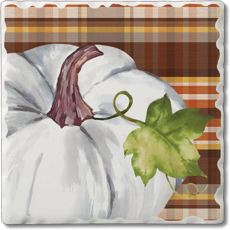 White Pumpkin 4 Pack Single Absorbent Stone Coaster with Protective Cork Backing Made in The USA 4" Square, Easily Wipes Clean - Multi