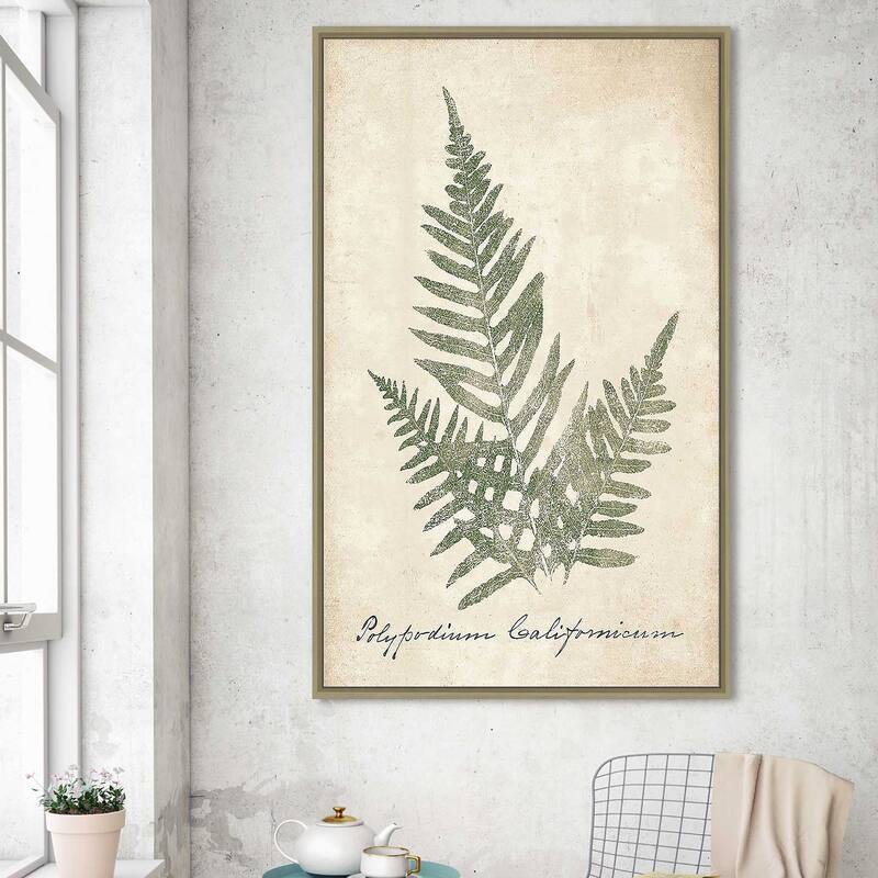 "Vintage Ferns XI" Print on Floating Canvas