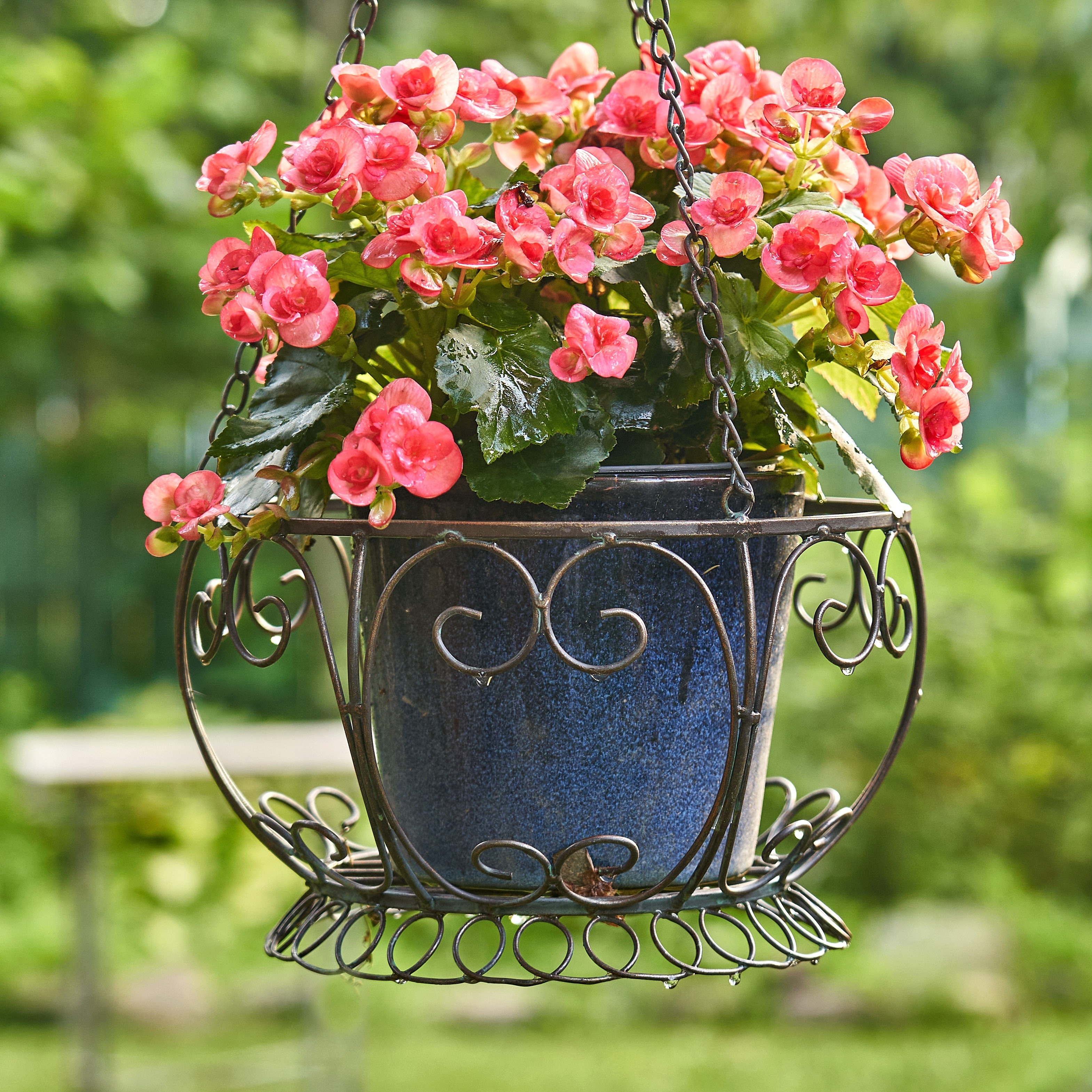 Set of 2 Iron Hanging Basket Planter in Antique White