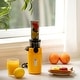 preview thumbnail 23 of 53, Ventray Essential Ginnie Juicer, Compact & Slow, Nutrient Dense