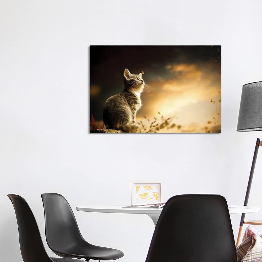 iCanvas "Cat" by Milos Karanovic Canvas Print
