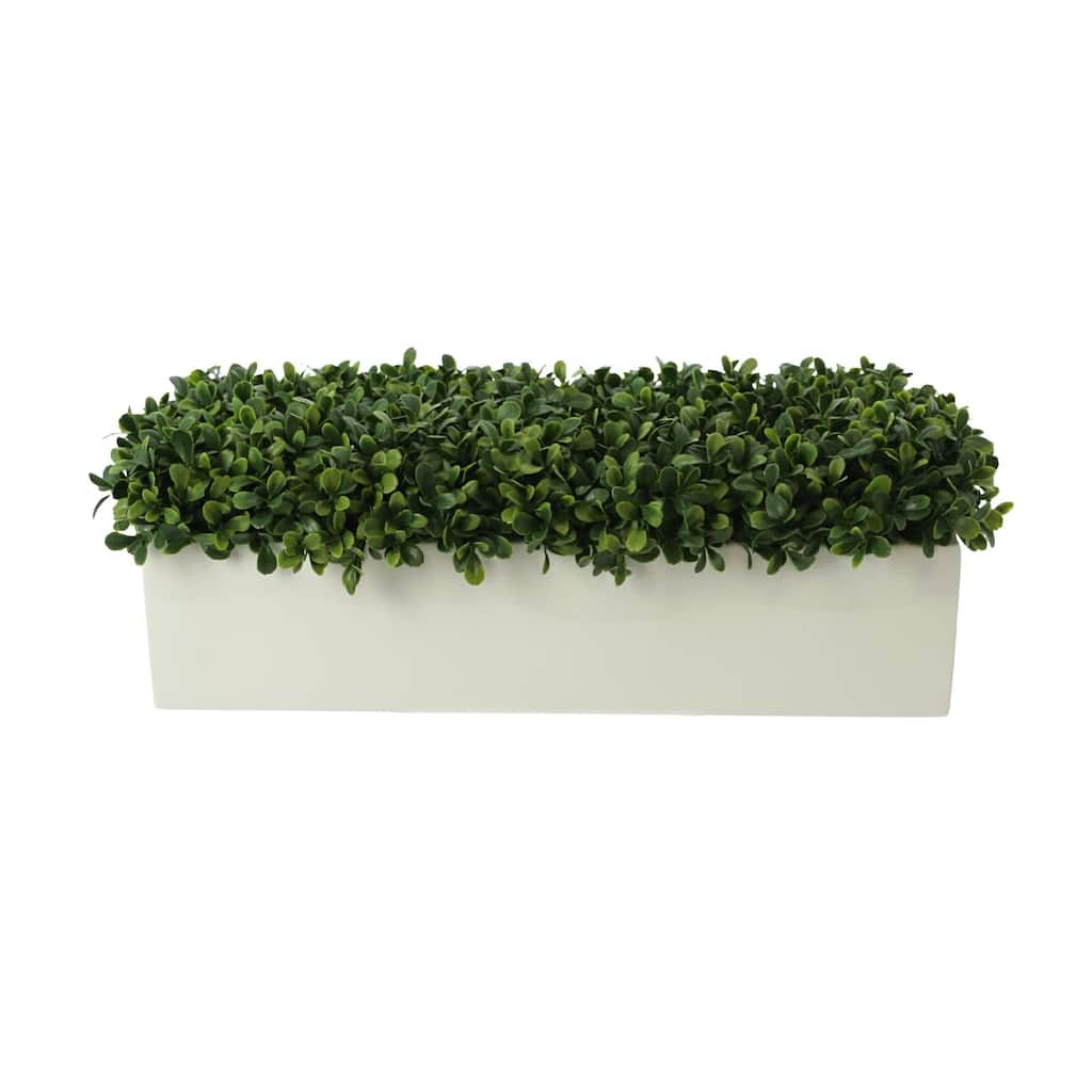 UV Rated Outdoor Boxwoods Arranged in a Rectangular Planter - Green