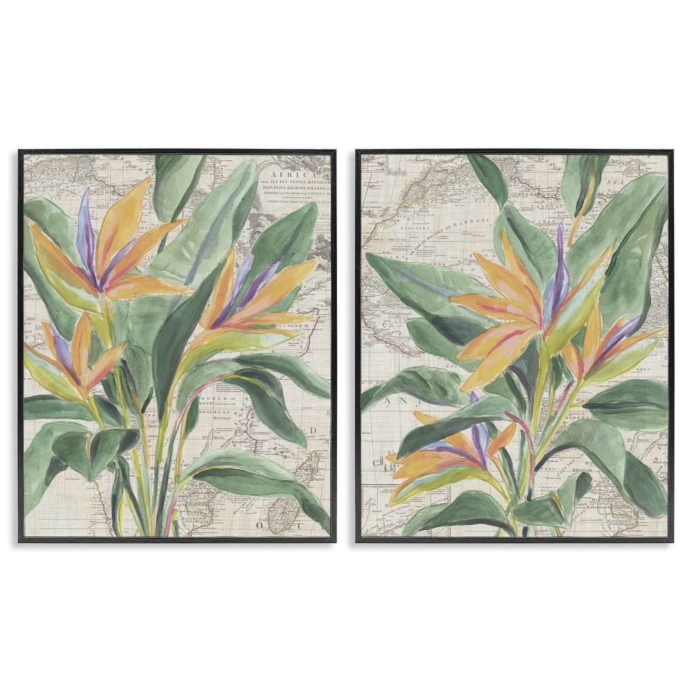 Stupell Flowers over Vintage Map Framed Giclee Art Design By June Erica Vess (Set of 2)