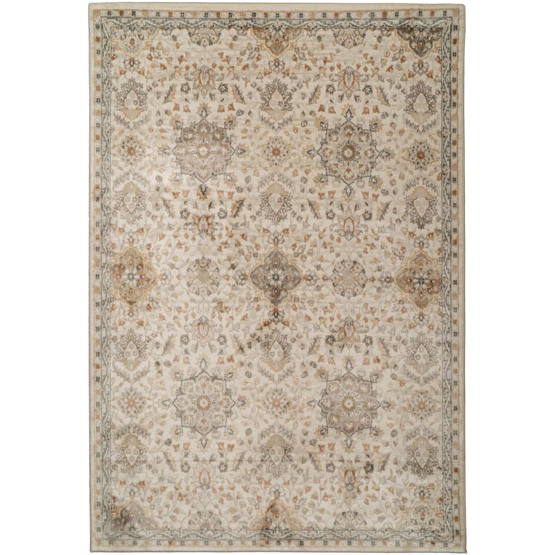 Dynamic Rugs Charlotte Traditional Area Rug