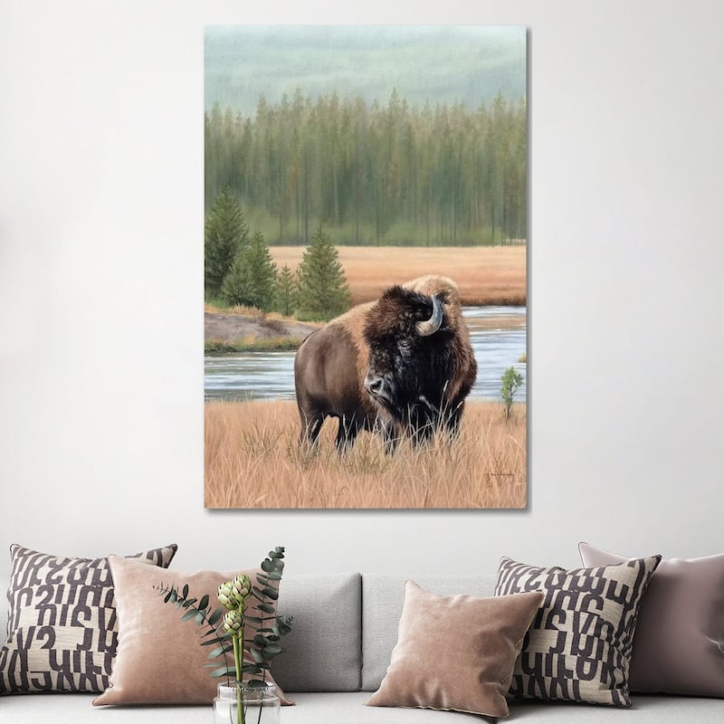 iCanvas "American Bison" by Rachel Stribbling Canvas Print