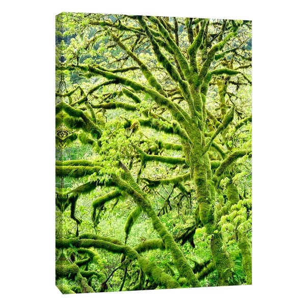 PTM Images 9-108897 PTM Canvas Collection 10" x 8" - "Spring Green" Giclee Forests Art Print on Canvas