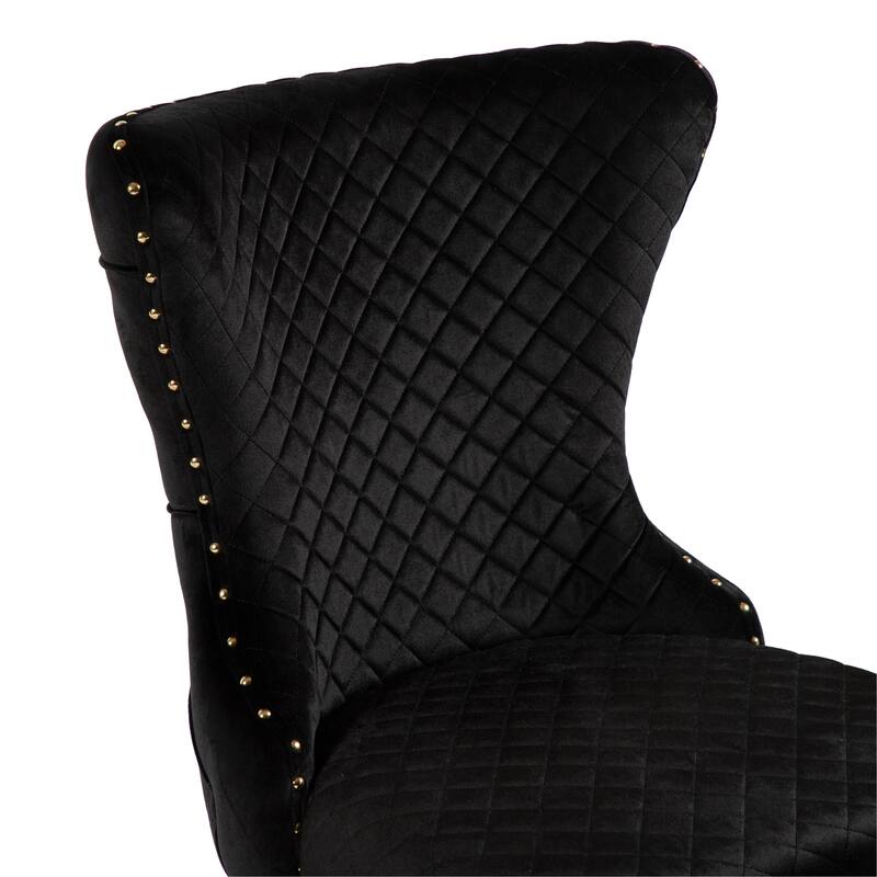 Furniture of America Thaddeus Glam Fabric Dining Chair with Nailhead Trim (Set of 2)