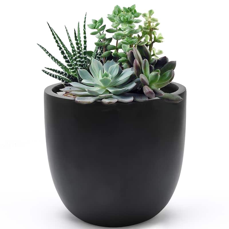 Tapered Round MgO Planter, Indoor and Outdoor