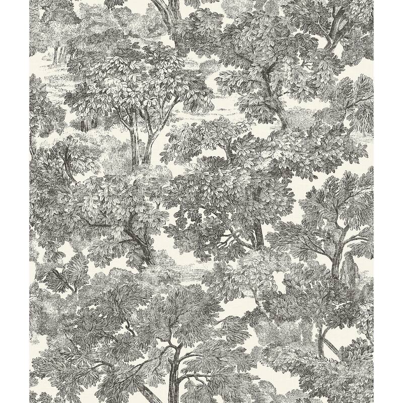 Chesapeake Spinney Black Toile Wallpaper