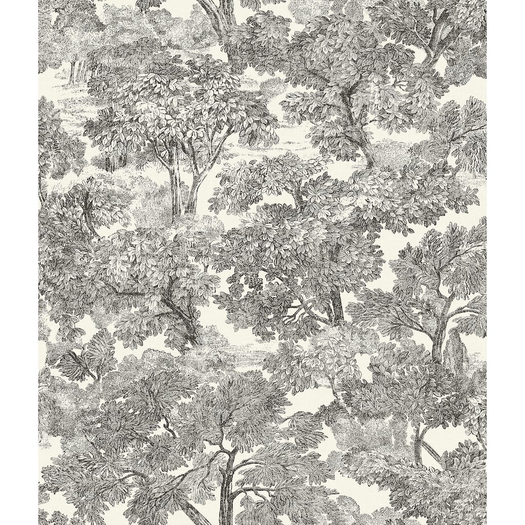 Chesapeake Spinney Black Toile Wallpaper