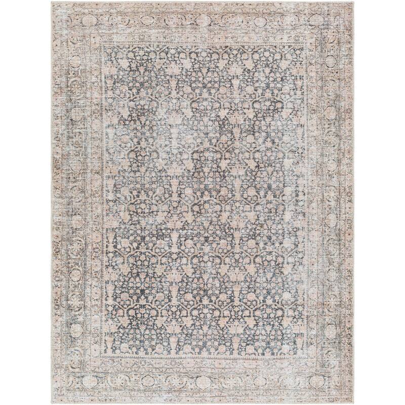 Hollan Traditional Washable Area Rug