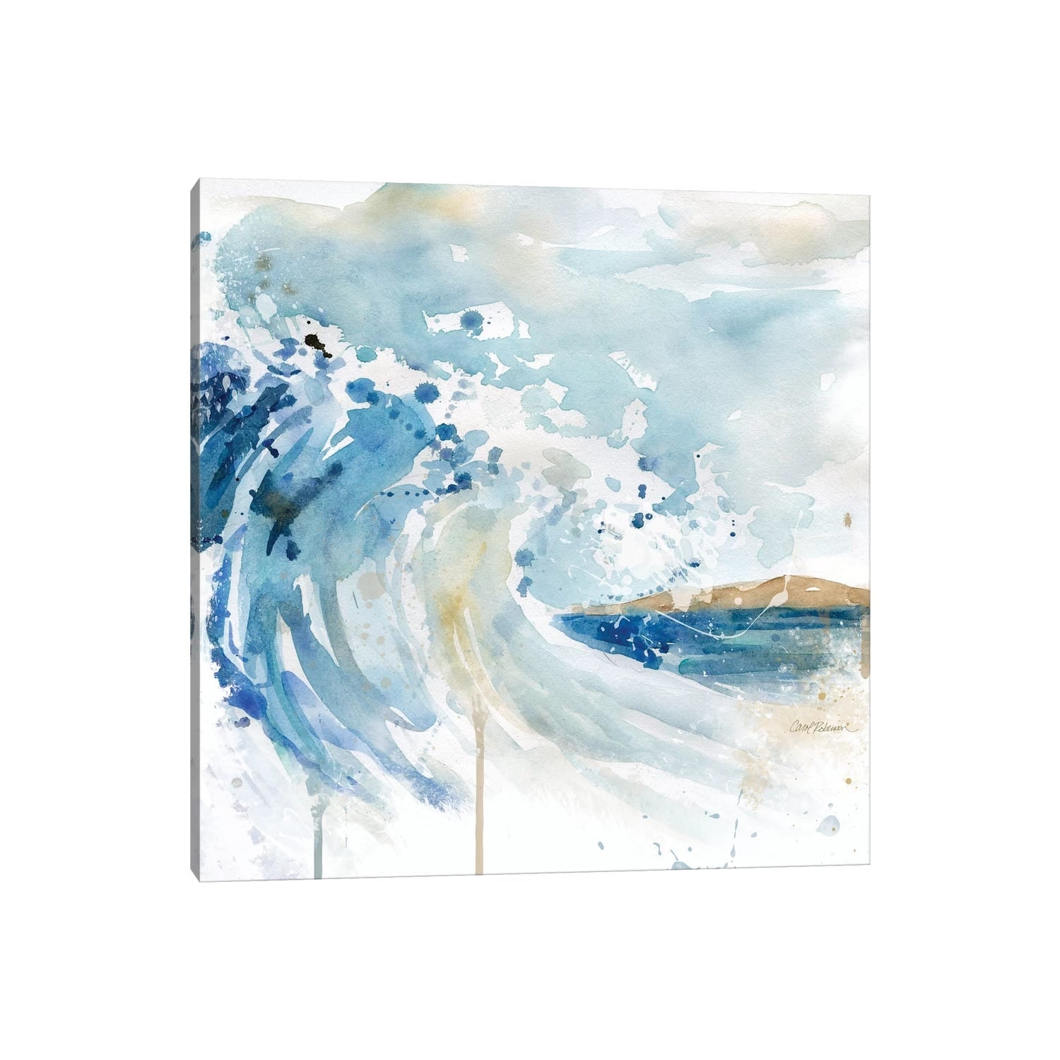 iCanvas "Malibu Surf I" by Carol Robinson Canvas Print
