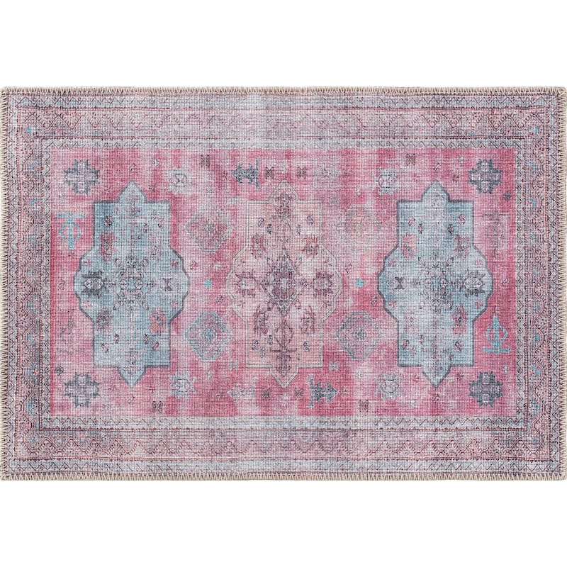 Distressed Transitional Bohemian Area Rug