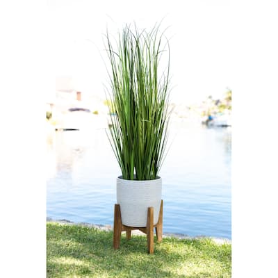 50" Onion Grass in 10" Cathedral Ceramic Pot