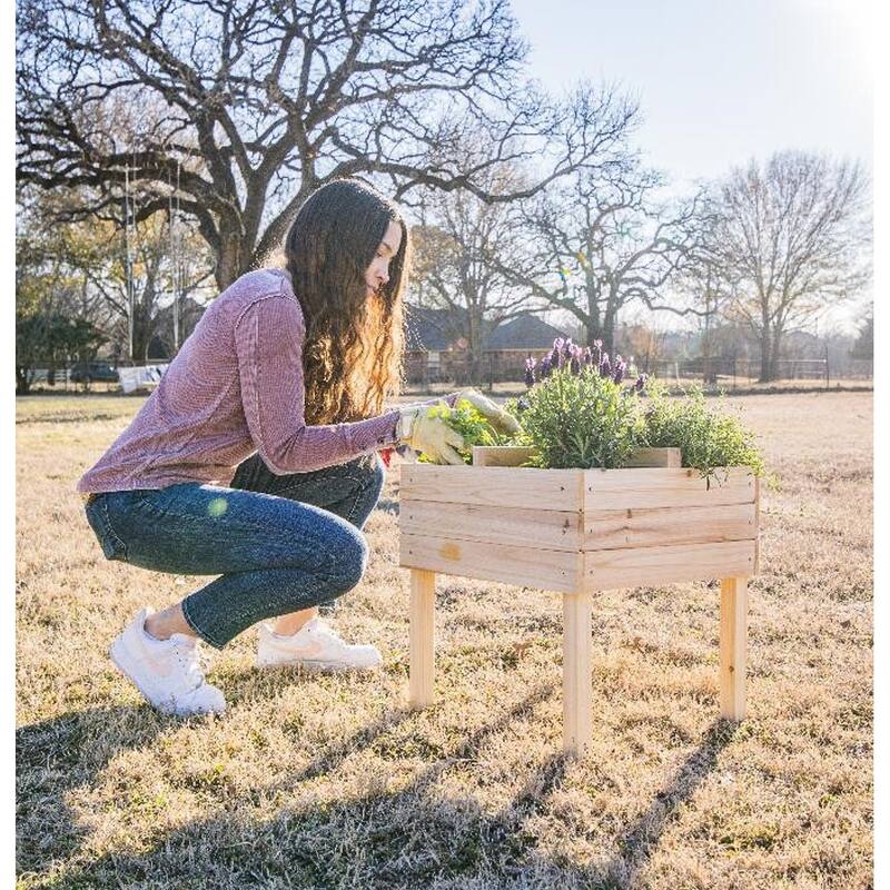 Zylina Riased Garden Planter w/ 4 Way Divider - 19 x 19 x 20