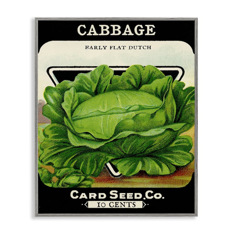 Stupell Vintage Garden Cabbage Framed Giclee Art Design By Lil' Rue - 16 x 20 - Grey