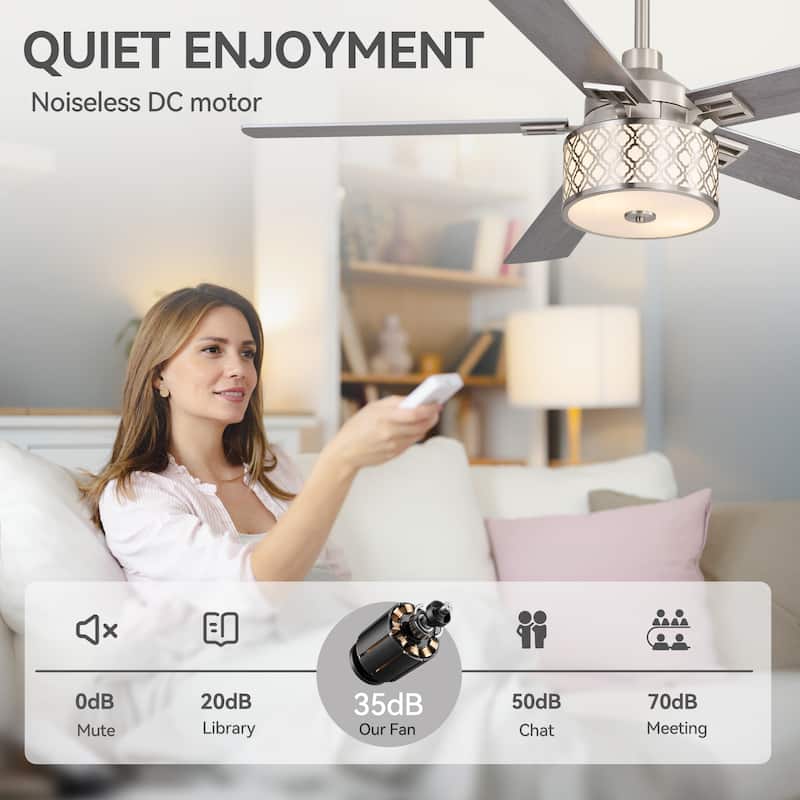 52" Reversible 5-Blade Caged Ceiling Fan with Light and Remote