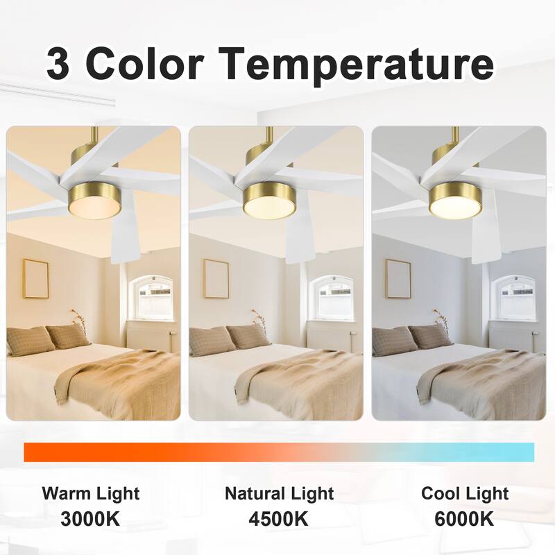 WINGBO 54" and 64" 5 ABS Blades DC Motor Indoor Ceiling Fan with Light & Remote