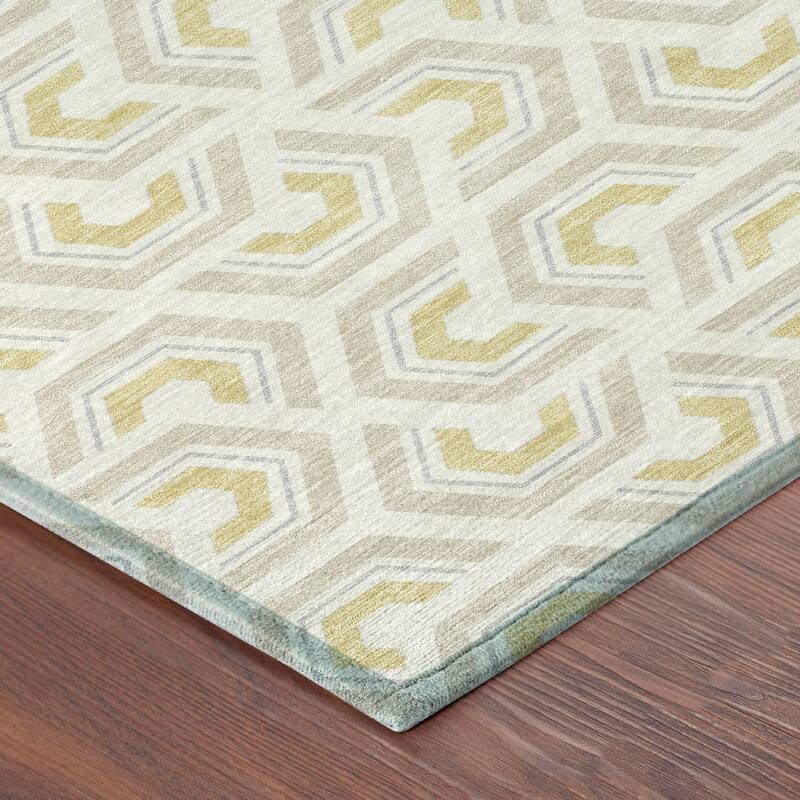 Machine Washable Indoor/ Outdoor Modern Zoa Chantille Rug