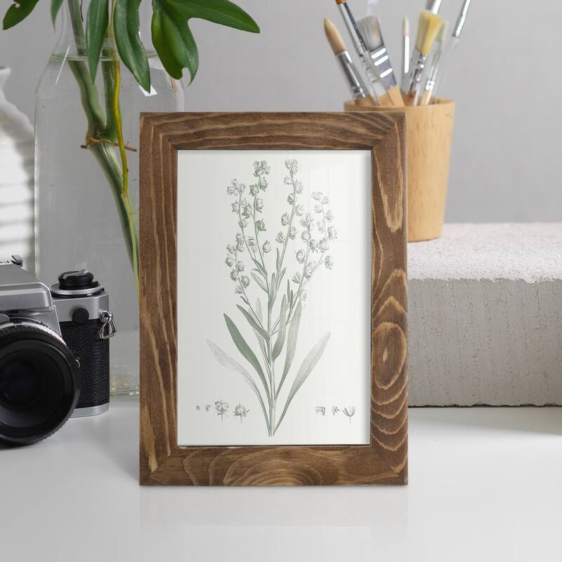 Botanical Study in Sage I -Framed Print w/glass-Cherry Red