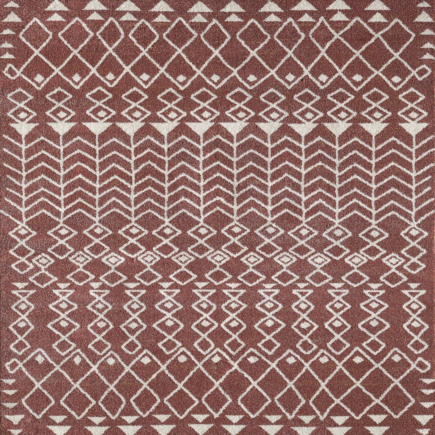 Totti Loops Terracotta/Cream 9x12 Southwestern Rug 9'X12' Rectangular