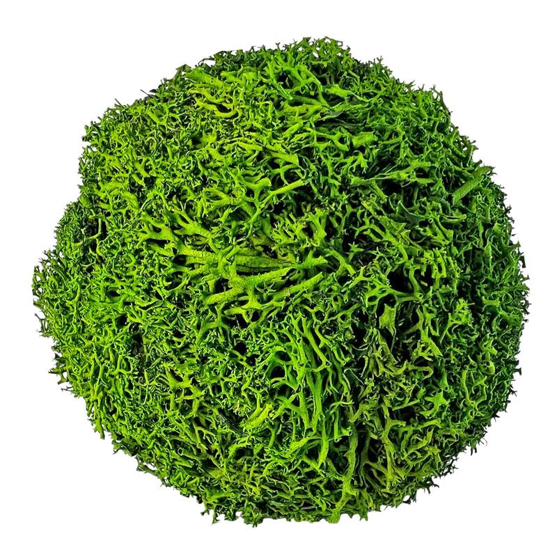 Handmade Natural & Preserved Topiary Green Balls, Decorative Bowl Filler Orbs, Botanical Accent Set Of 6 - 4 inch