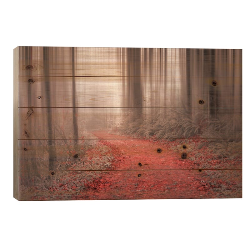 Through The Woods III Print On Wood by Don Schwartz - Multi-Color - 26x40x1.5