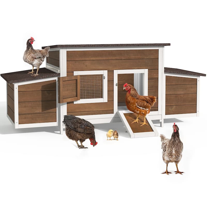 Outdoor Wooden Chicken Coop Hen House with Nesting Box and Run Poultry Cage-66.92"L x 24.8"W x 27.95"H - Brown
