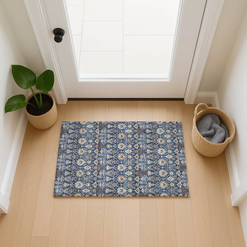 Machine Washable Indoor/ Outdoor Traditional Xander Chantille Rug