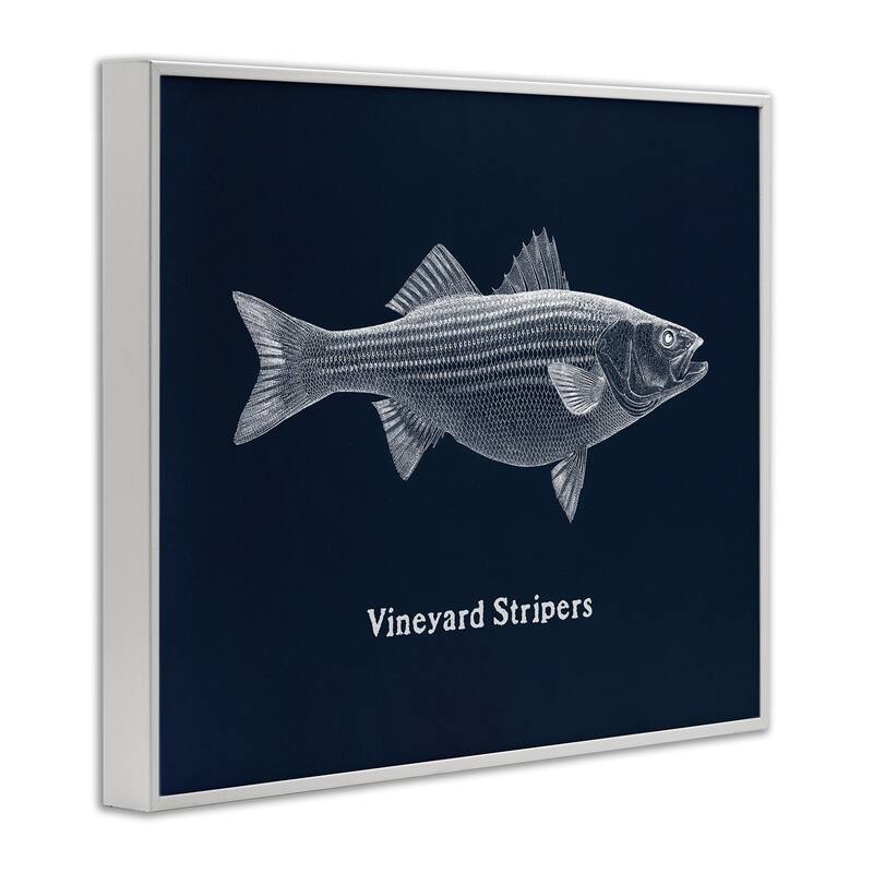 Stupell Vineyard Stripers Fish Framed Giclee Art Design By Phillipa Katz