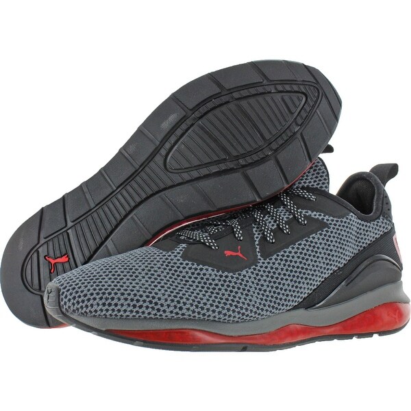 puma cell descend