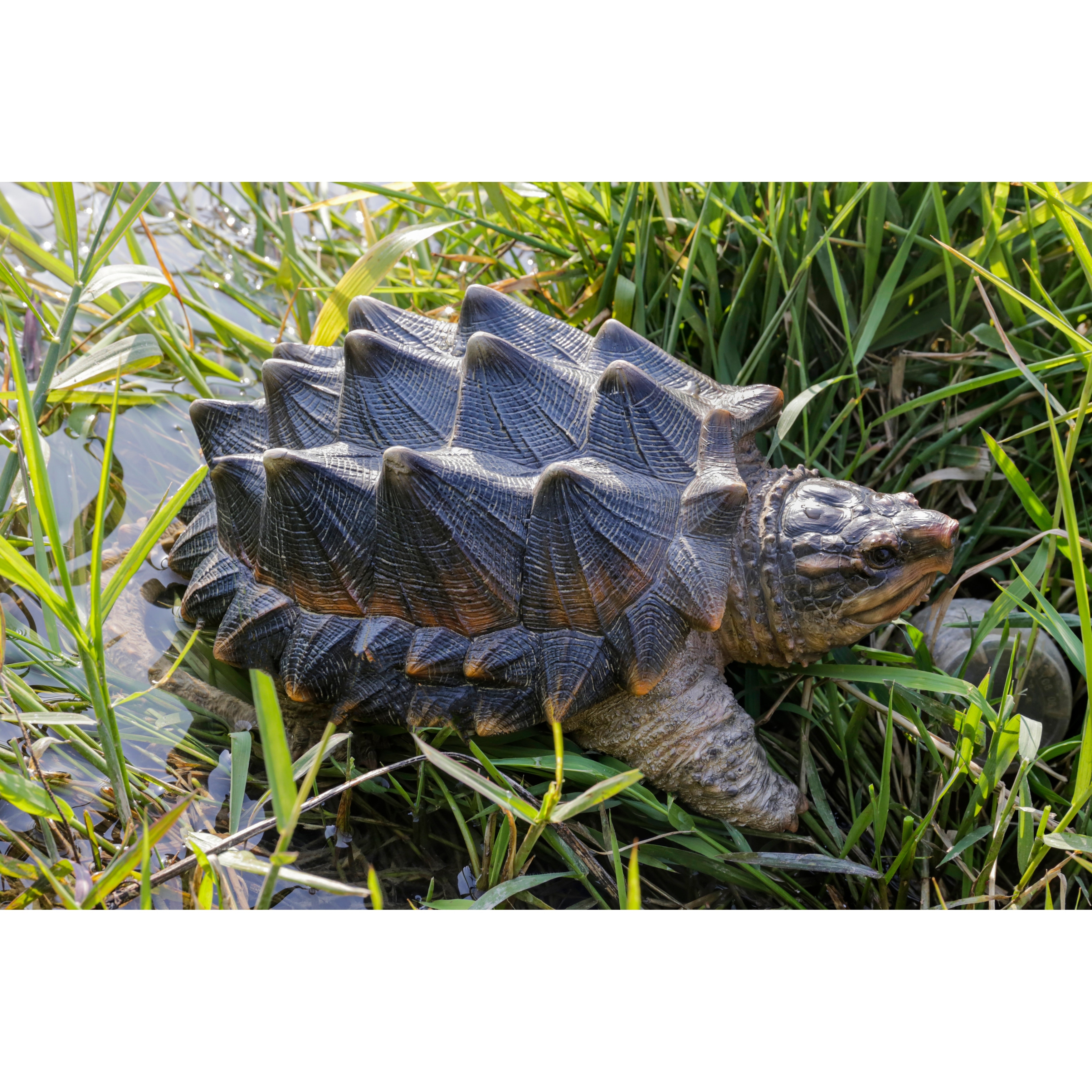 Snapping Turtle Statue