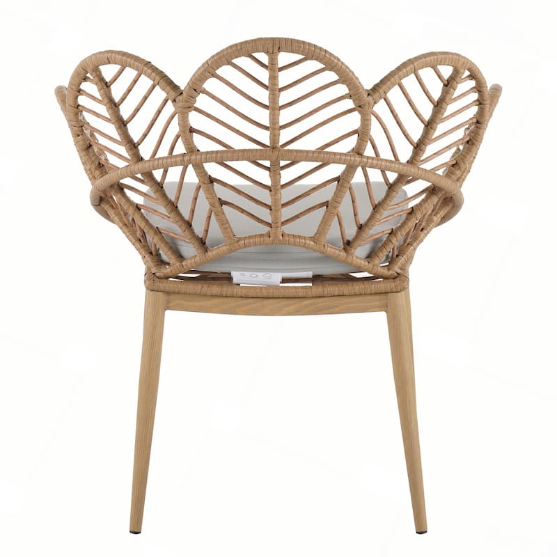 Outdoor Wicker Peacock Shape Papasan Style Chair, Set of 2