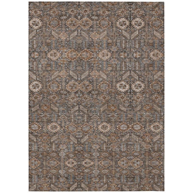 Machine Washable Indoor/ Outdoor Traditional Boho Chantille Rug