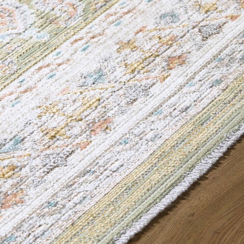 Livabliss Amir Traditional Area Rug