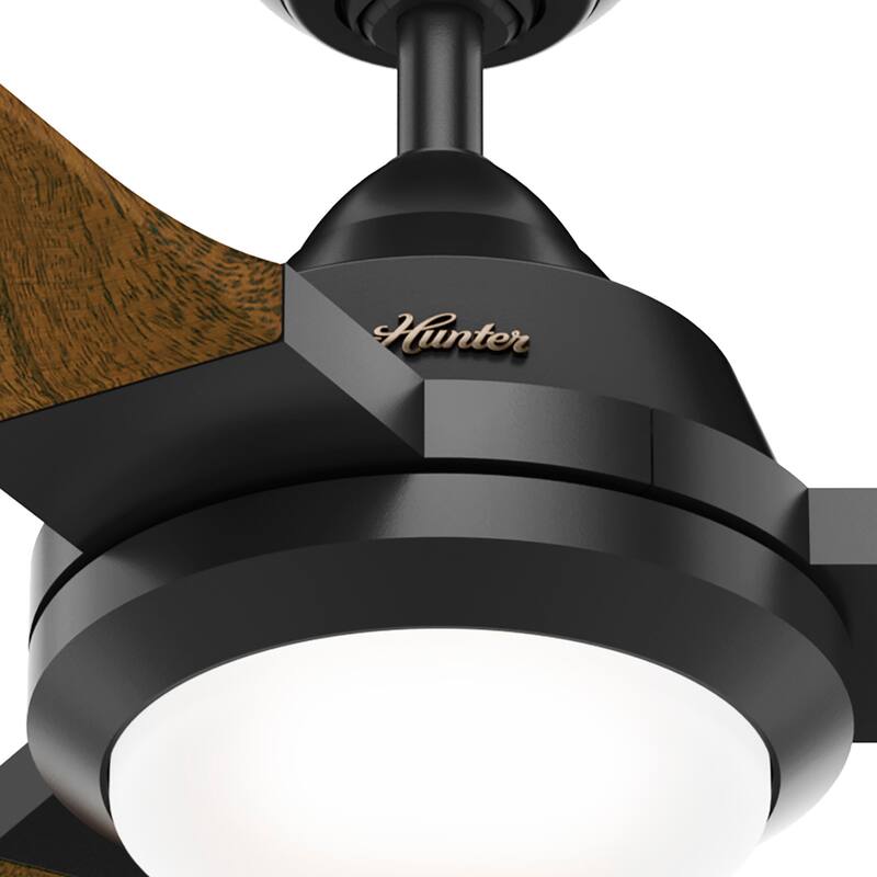 Hunter 54" Leti Ceiling Fan with LED Light and Wall Control - Noble Bronze