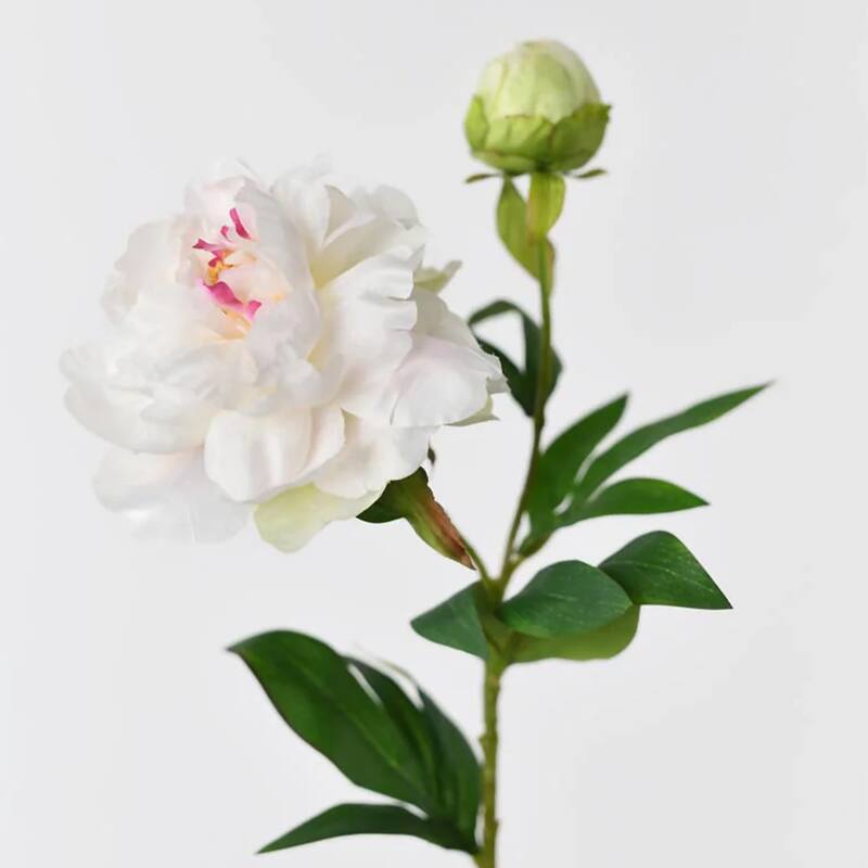 Silk Decorative Artificial Phoenix Peony(Pack of 1 Branch)