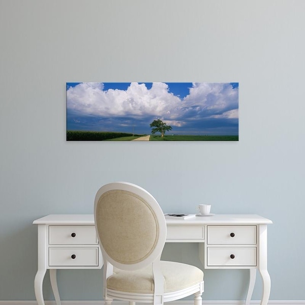 Easy Art Prints Panoramic Images's 'Oak tree in a landscape, Stelle, Illinois, USA' Premium Canvas Art