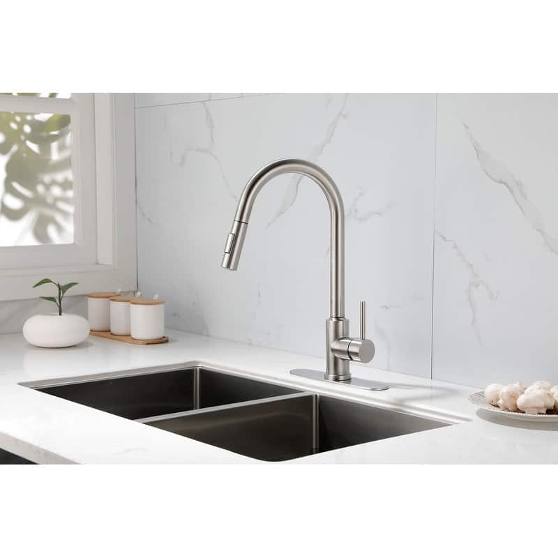 Kitchen Faucet with Pull Down Sprayer