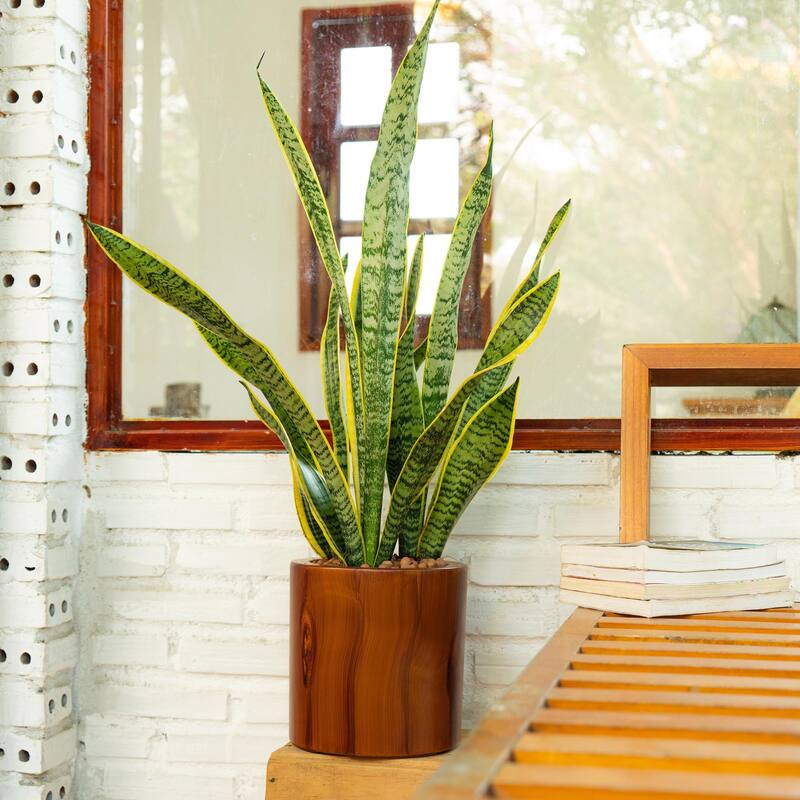 7.8 inch Plastic Self-watering Planter Pot