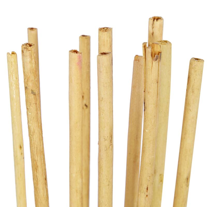 Multi colored, White Brown or Light Brown Dried Plant Pigeon pea Natural Foliage (Set of 2)