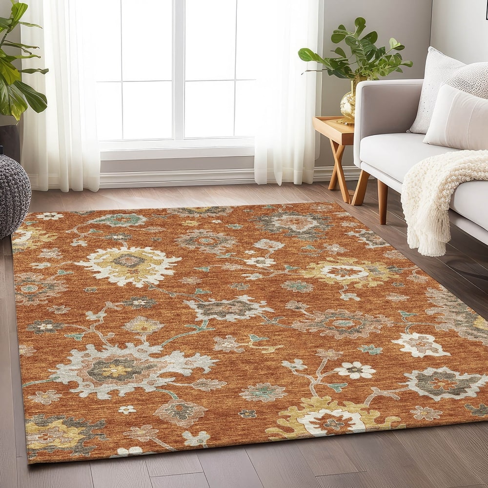 Premium Washable Super Soft Traditional Farmhouse Mayfield Rug
