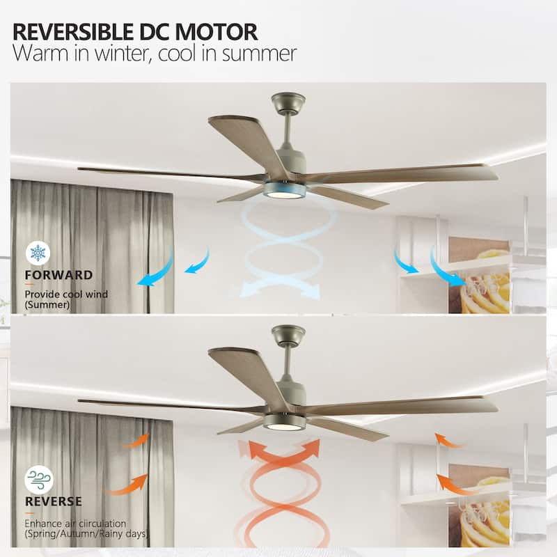 60" Wood Ceiling Fan with Light and Remote Control,6-Speed Noiseless Reversible DC Motor, Ceiling Fan