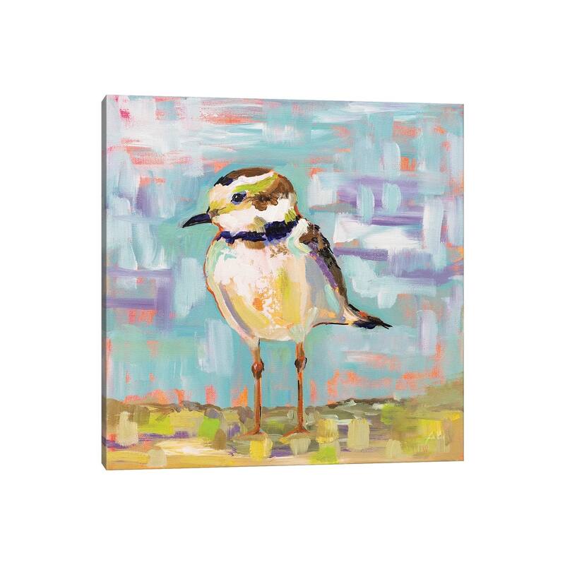 iCanvas "Coastal Plover II" by Jeanette Vertentes Canvas Print