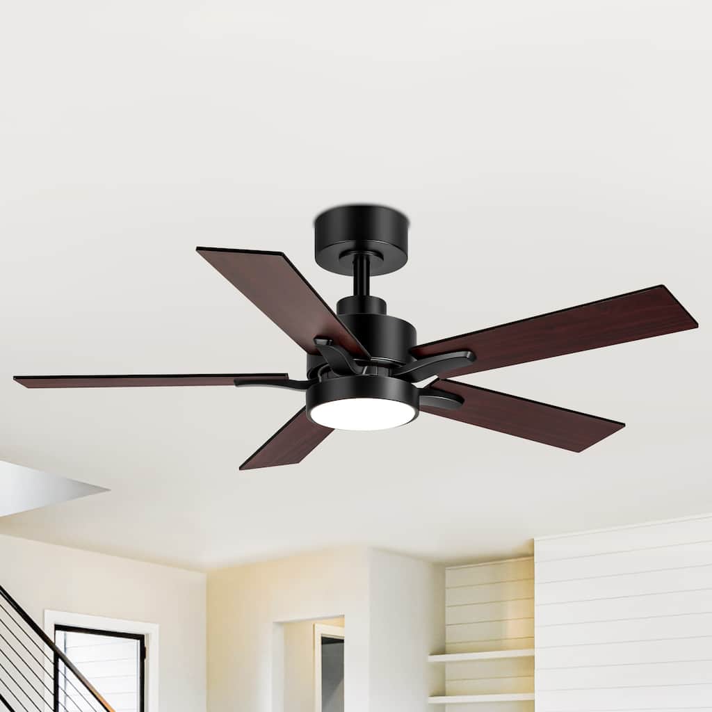 42" 5-Blade Black/White Modern LED Ceiling Fan with Light and Remote