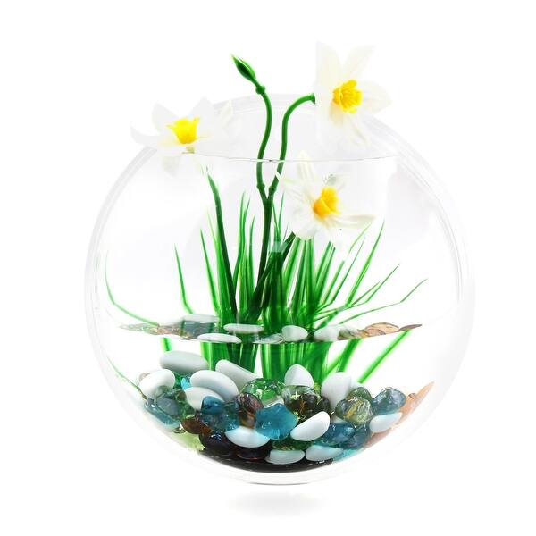 Shop 1 2 Gallon Wall Mounted Acrylic Fishbowl Betta Tank Hanging