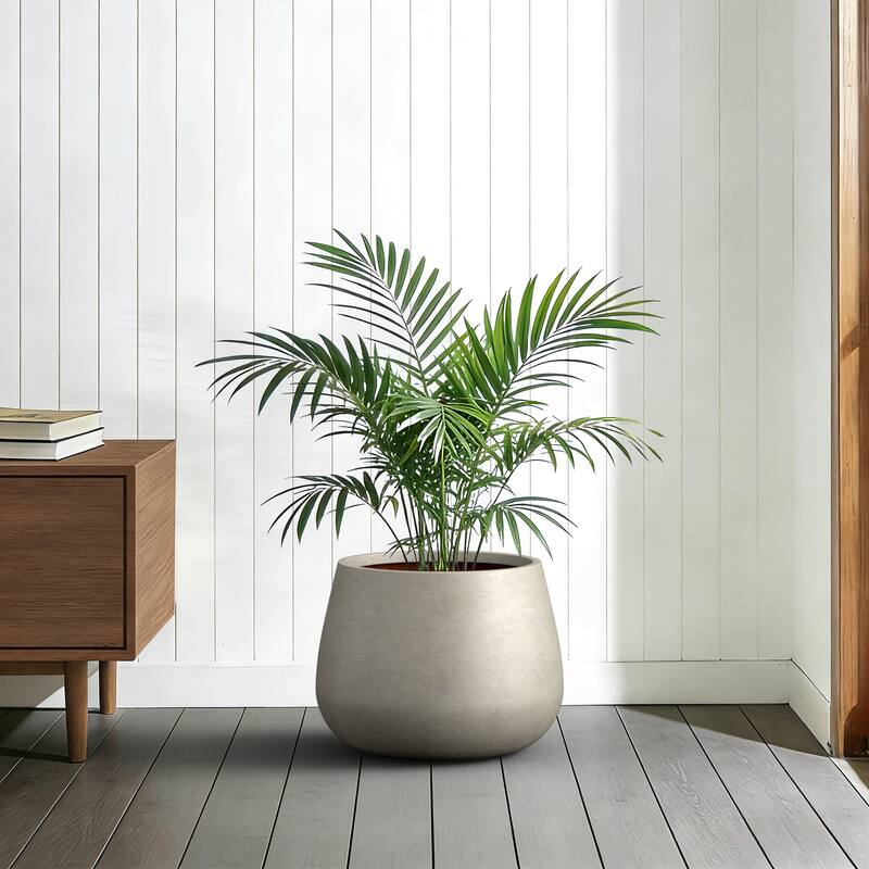 Concrete Round Planter with Drainage Holes for Indoor & Outdoor