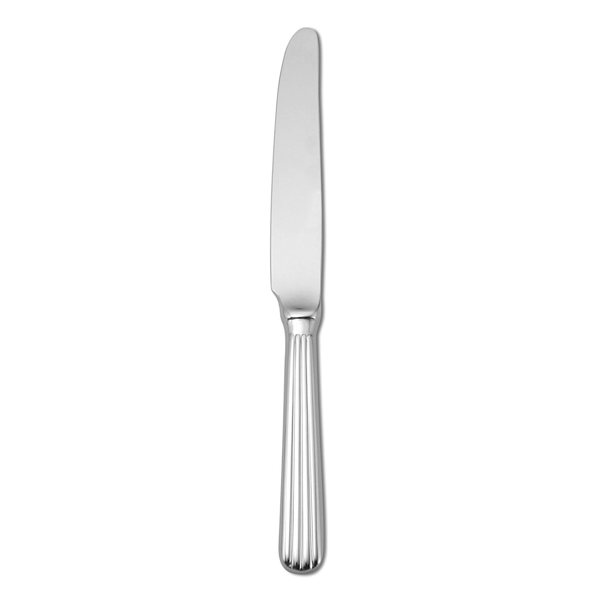 Sant' Andrea 18/10 Stainless Steel Viotti Table Knives (Set of 12