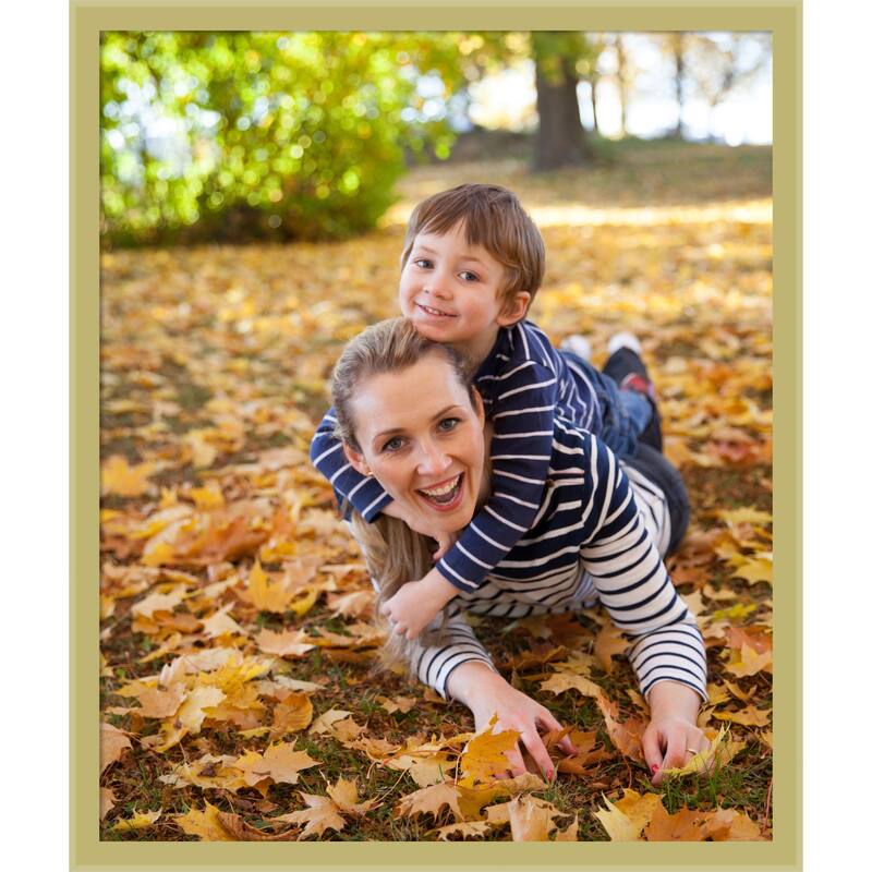 Incline Picture Frame, Photo Frame - 20x24 - Incline Light Gold