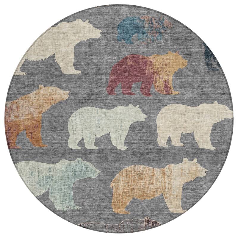 Machine Washable Indoor/ Outdoor Modern Bear Chantille Rug
